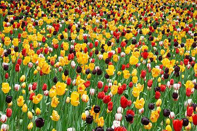 玩家用《街头霸王6》捏出了任天堂知名角色