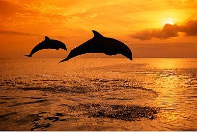 传索尼、任天堂和微软将不会参加E3 2023